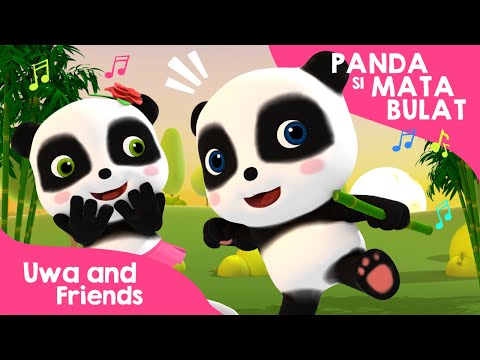 Panda Si Mata Bulat - Lagu Binatang Lucu - Lagu Anak Indonesia