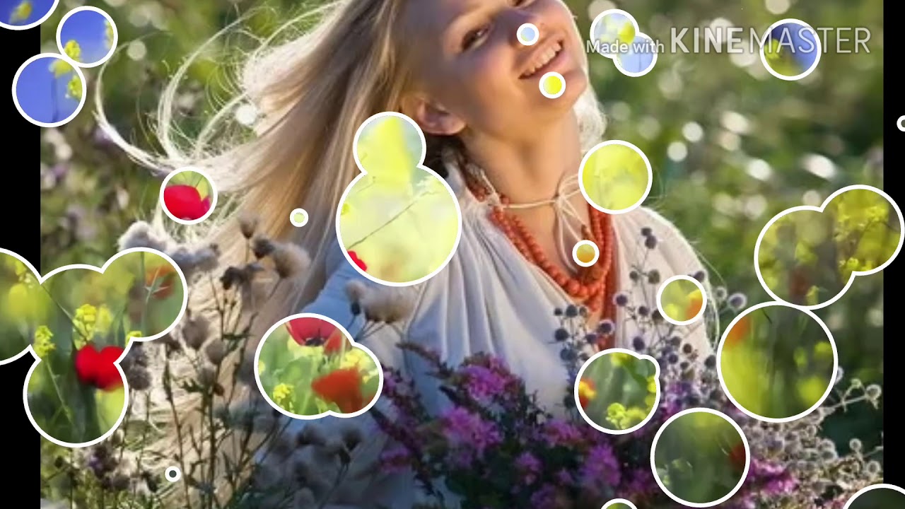 Полевые цветы — Людмила Сенчина