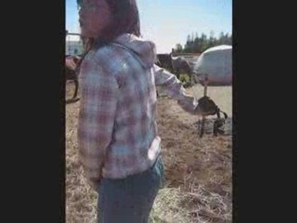 Rando Karina's Latest Updates