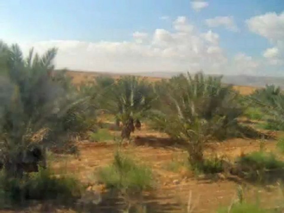 ISRAEL LA GRAN EXPERIENCIA. ISRAEL-SHALOM-ISRAEL.