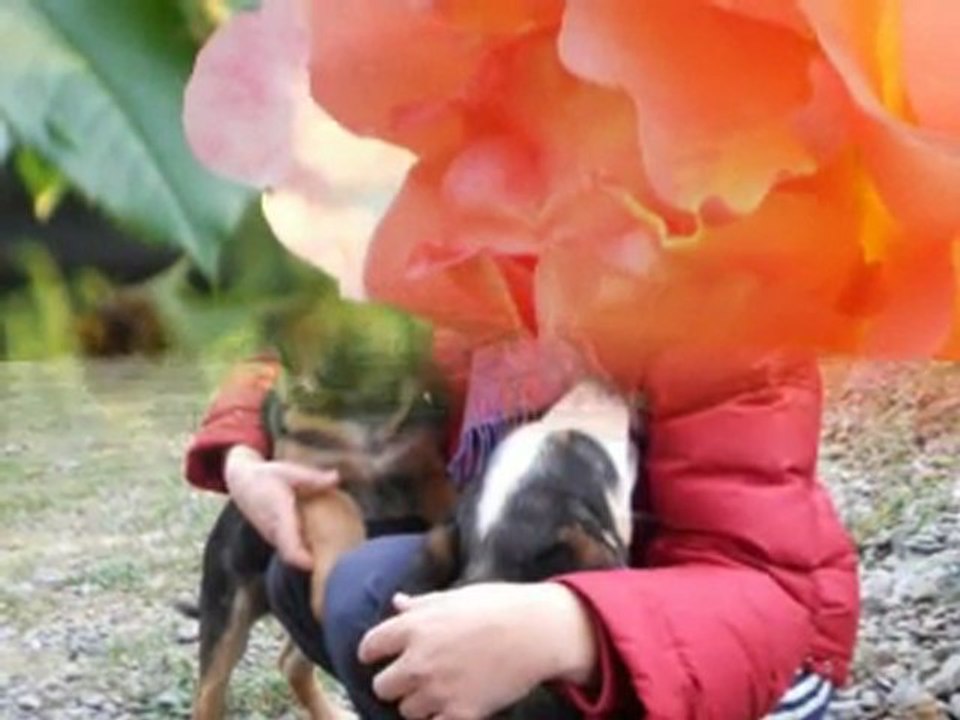 By Maria s Album2- Boney M - One Way Ticket DjMiX ismail Dervisogullari