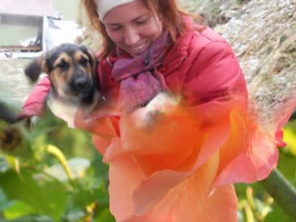 By-Maria s Album&For beauty lovers-DjMiX ismail Dervisogullari