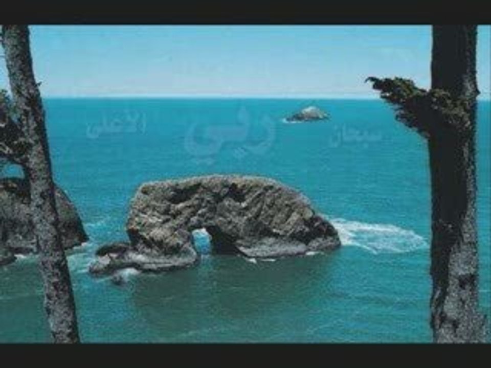 La place de l' homme dans l' univers. 4 - Pr. Hani Ramadan.