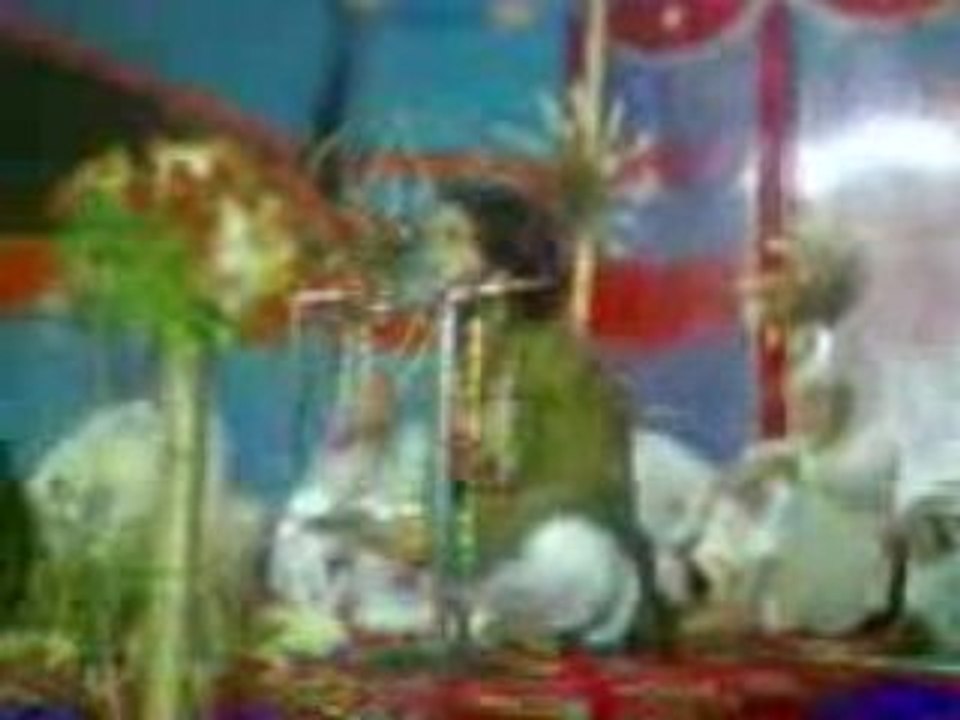 Baltistani: Ali Arman [ LIVE ]