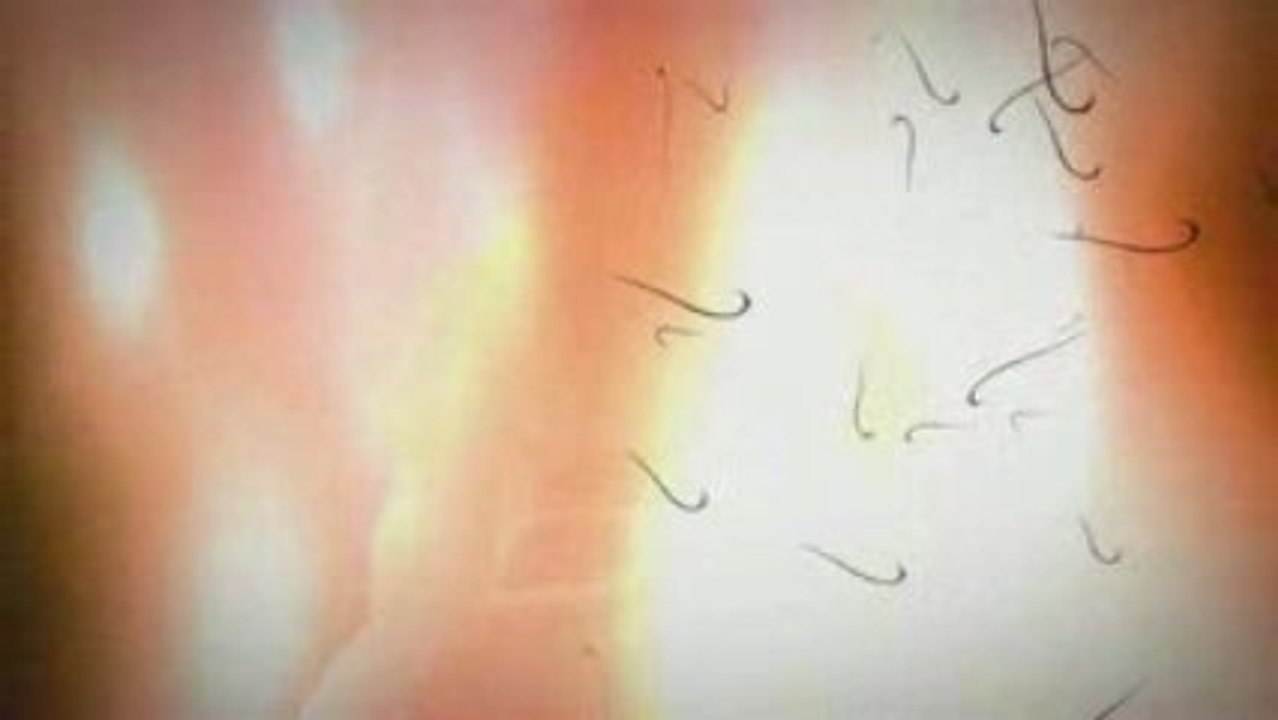 Wow cataclysm trailer