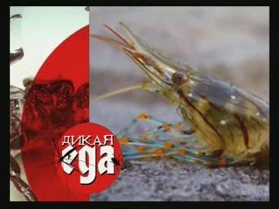 Репортаж о Вьетнаме