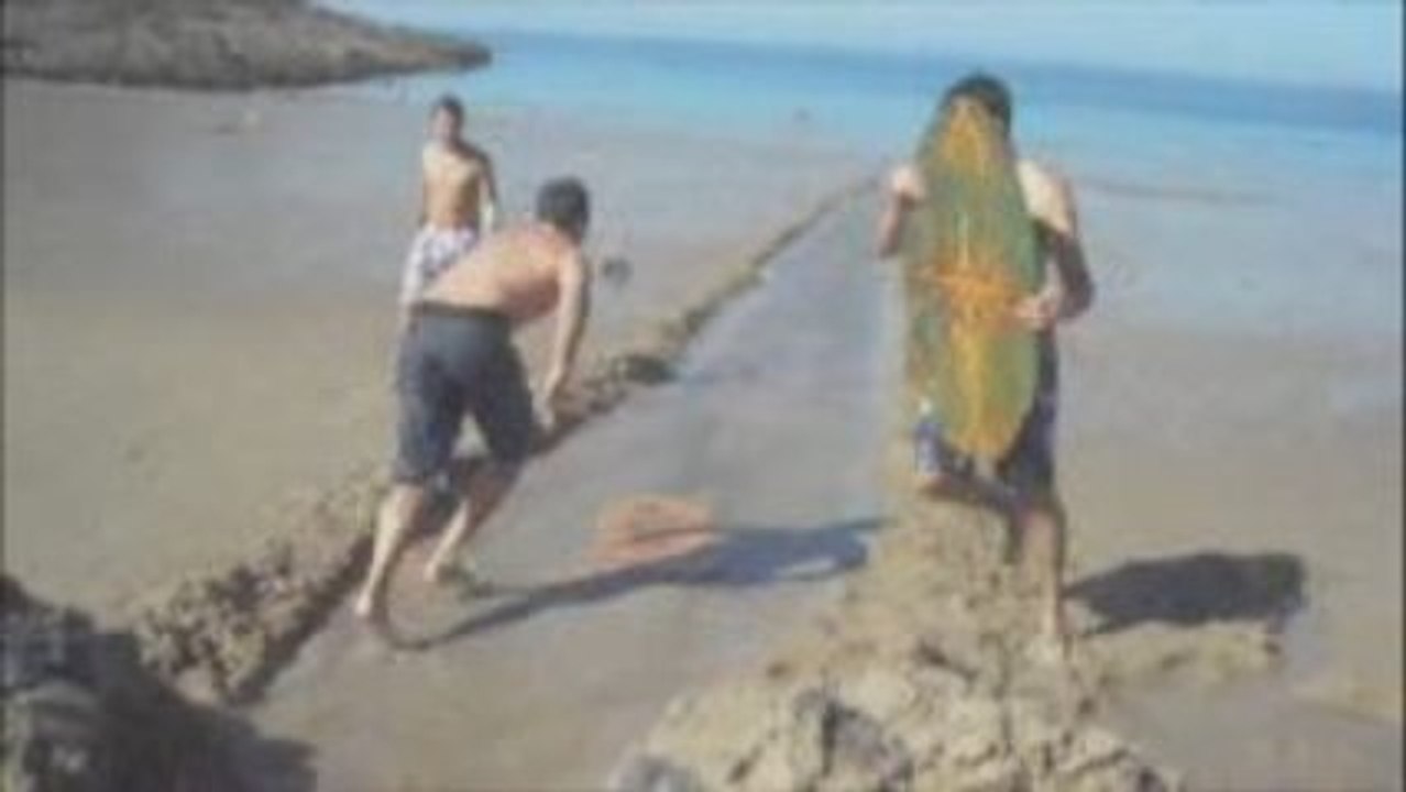 Nouvelles Techniques pour Skimboard à Canelle 🏄‍♂️