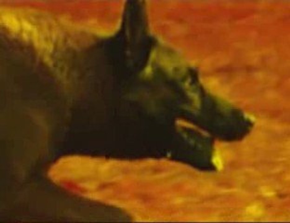 Back the Back: Amis en Délire 🎉