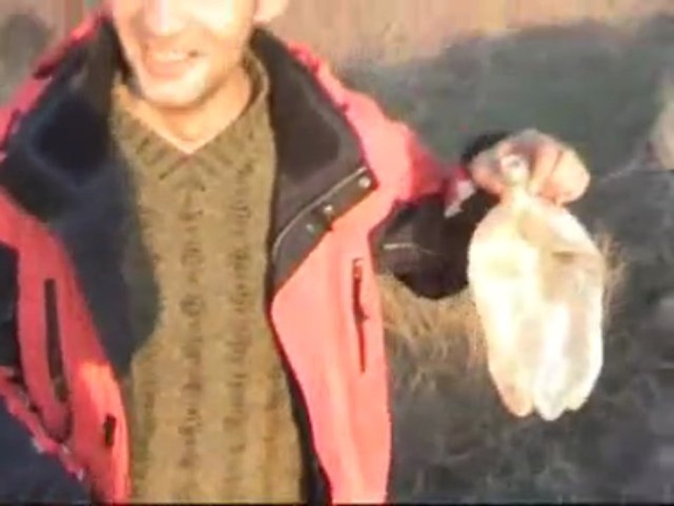 leventin tüfek atışı