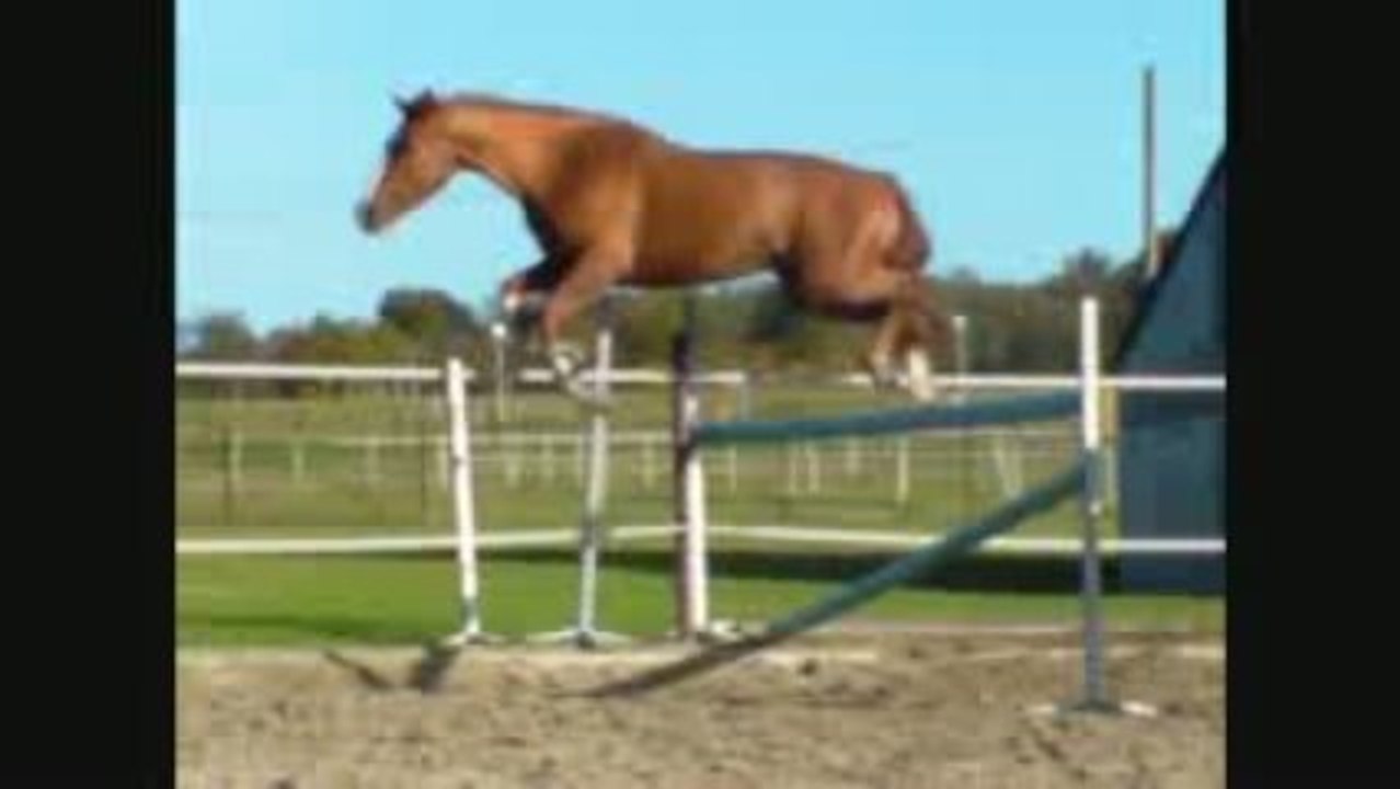 Speed Test Video 📊