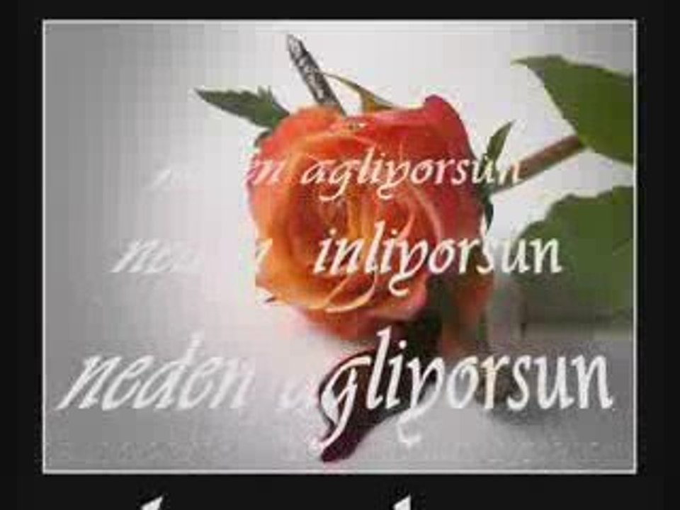 Doğukan-Çaye berbena