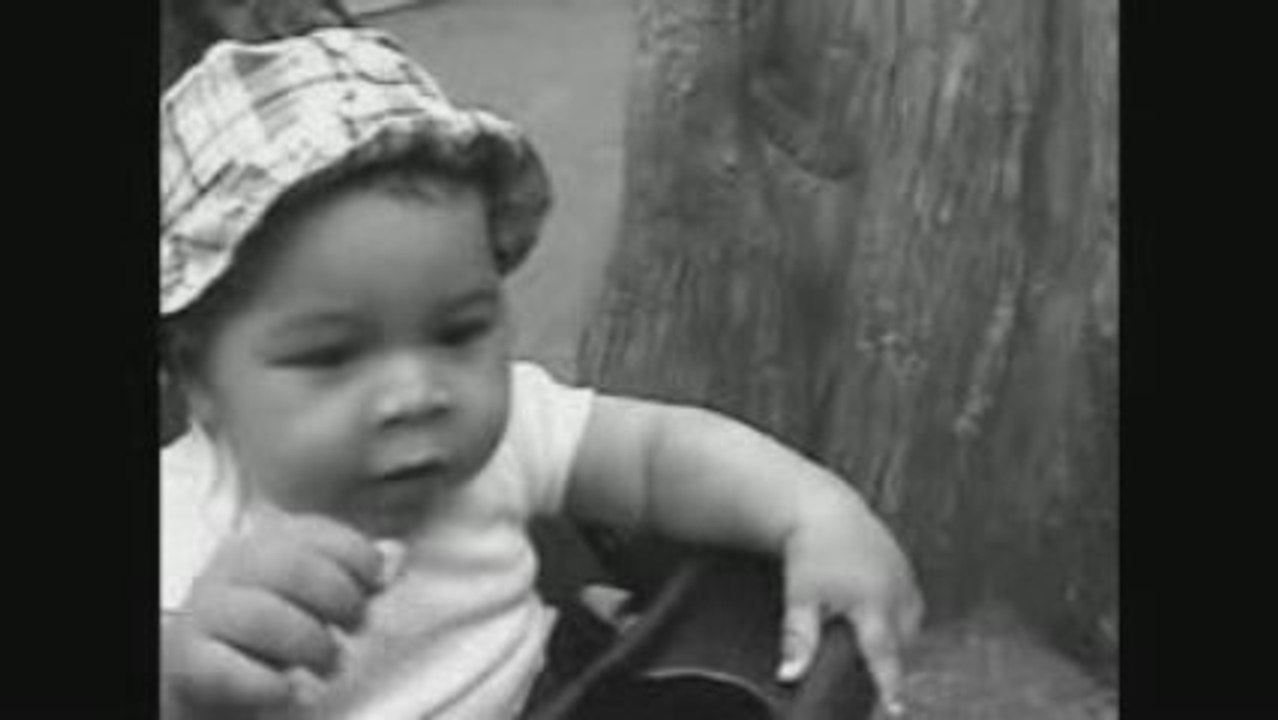 Conception - Visual Poetry