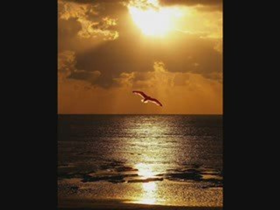 ONE MINUTE FOR PEACE - The 11:11 Quantum Peace Project