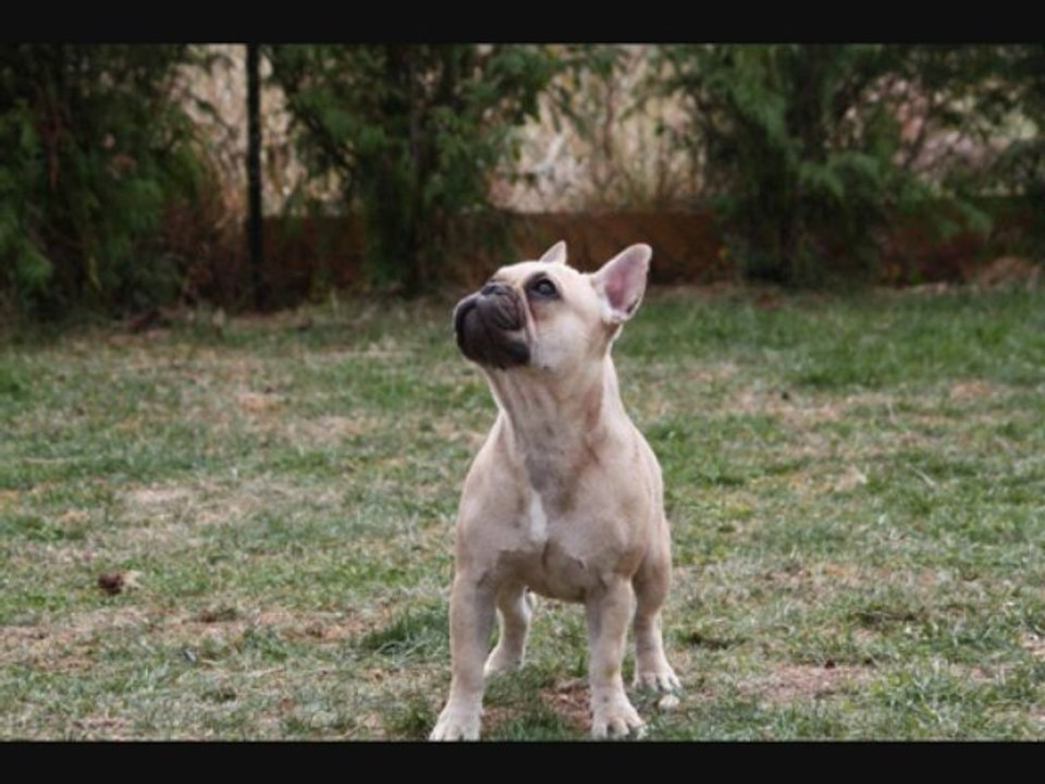 Divine Idylle: A Heavenly Tale