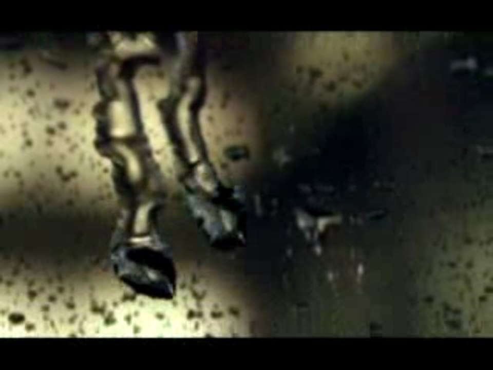 Рено Меган Спорт