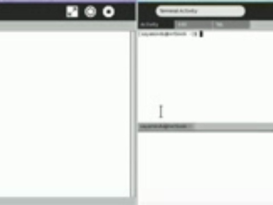 Shared Terminal Activity in Sugar
