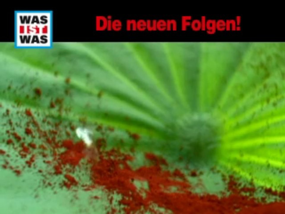 WAS IST WAS auf DVD - Spot