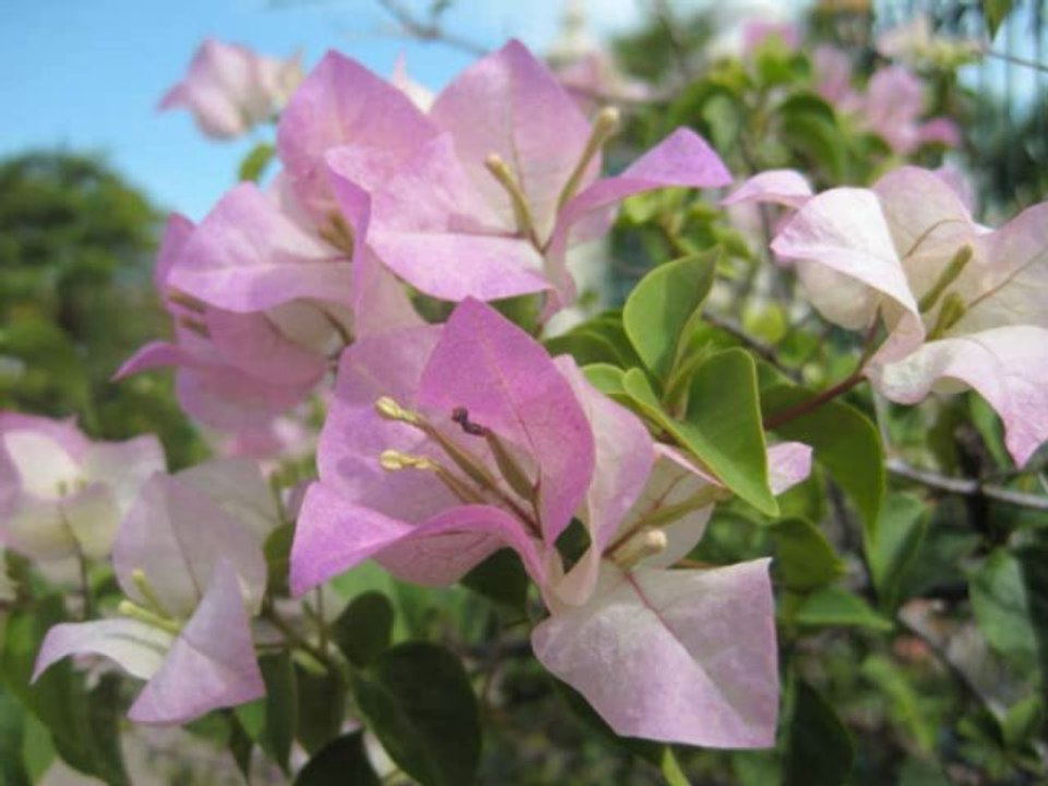 Quantum Togetherness