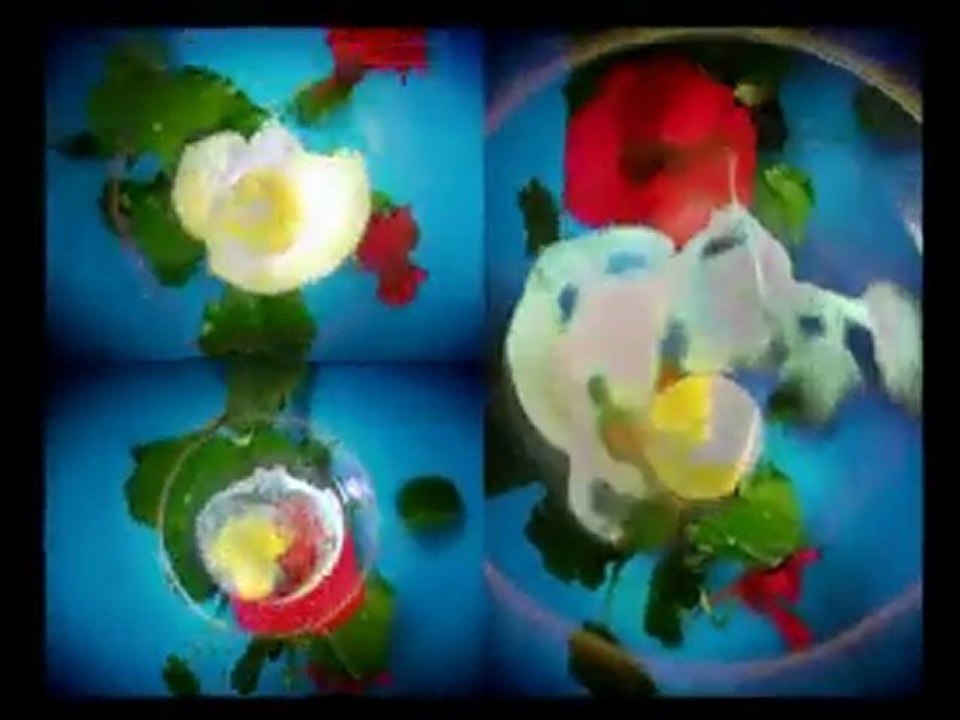 Back to the Future (Music Video)