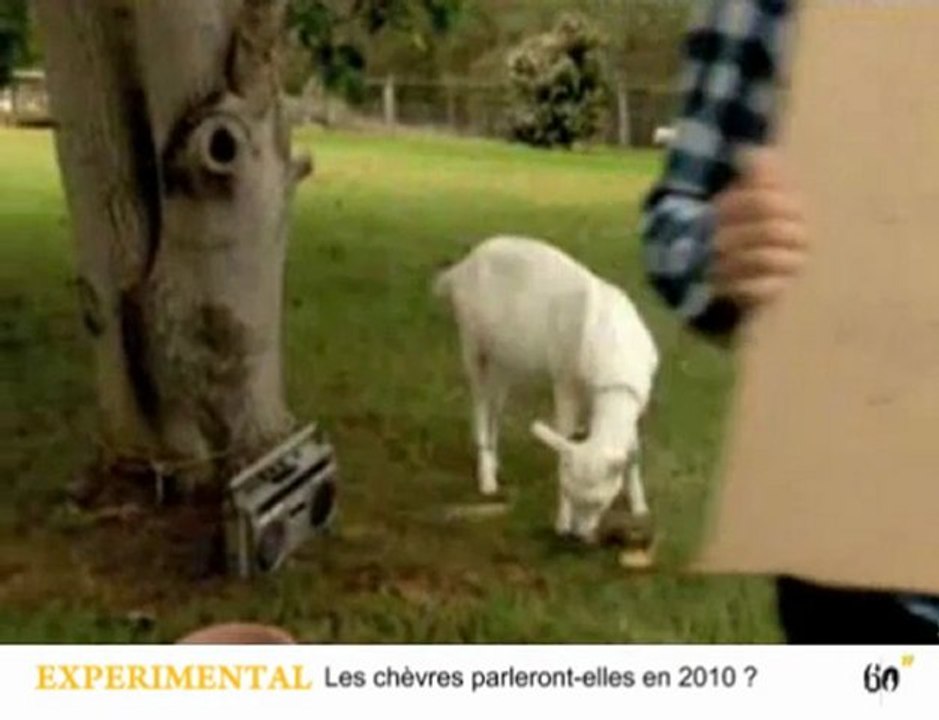 Purification, déception, alphabétisation