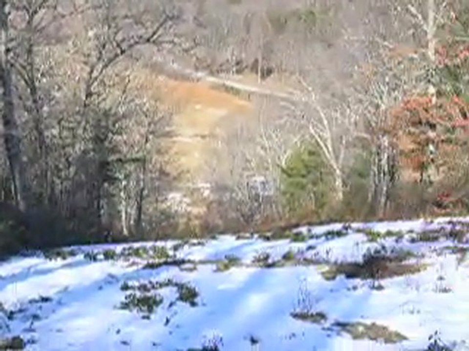 buying land, buying land greene, buy land in green