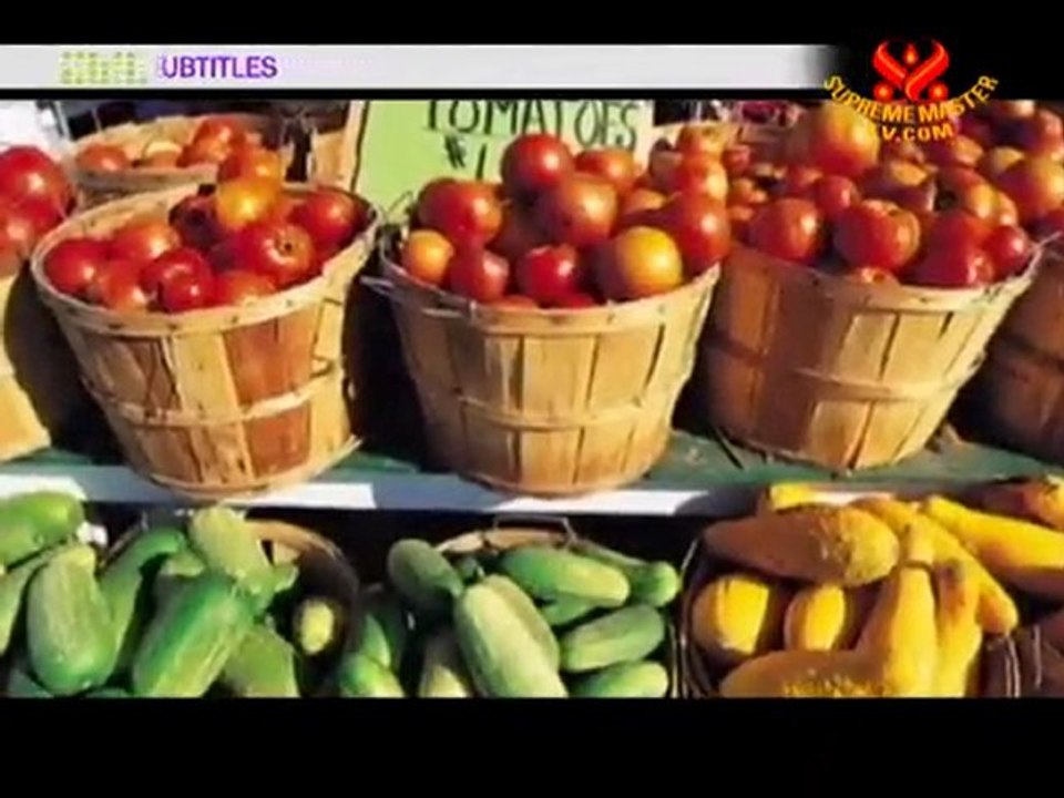 Improving Your Health Through a Plant-Based Diet, P2/3