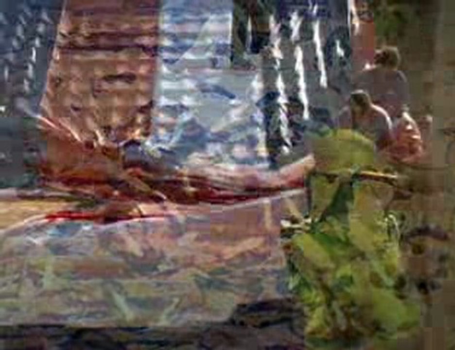 How Fumigation Works 🕷️