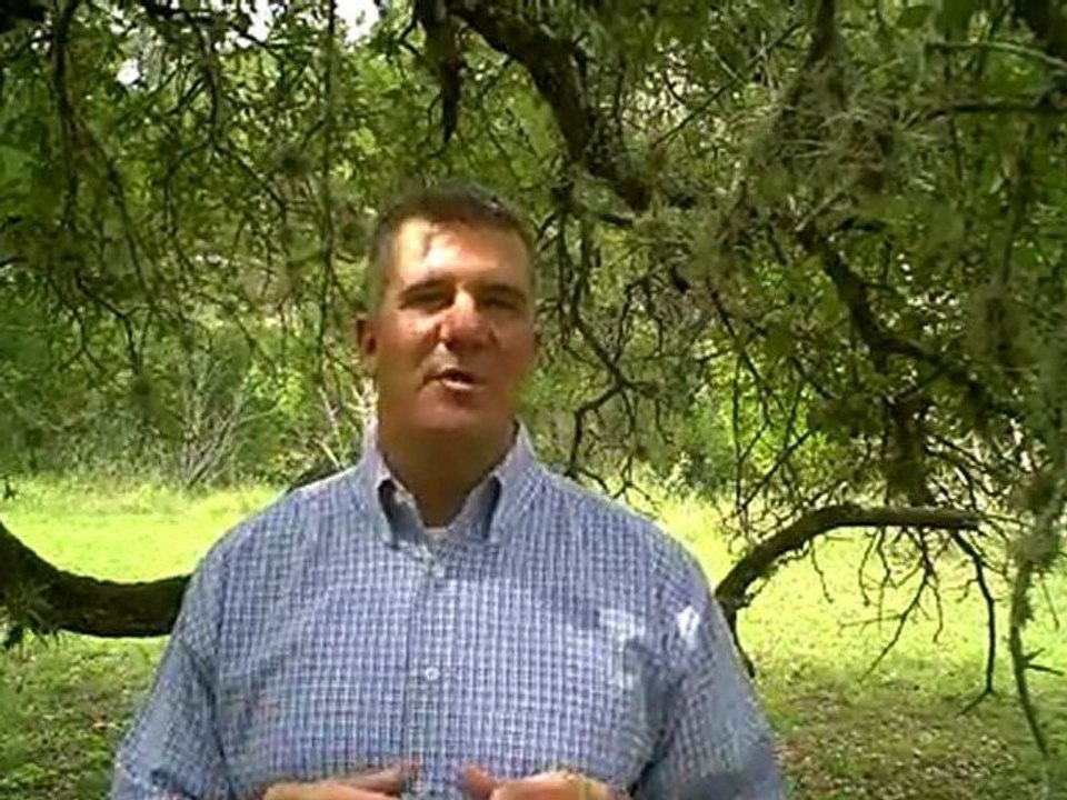 Unlock Your Success with Expert Online Marketing Training 🚀