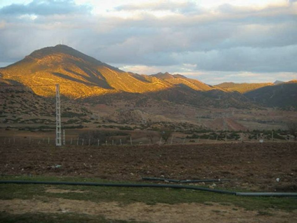 Cheb Nacir Staifi yema a yema