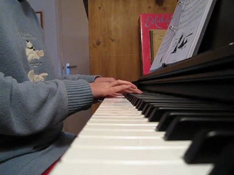 Le voyageur solitaire