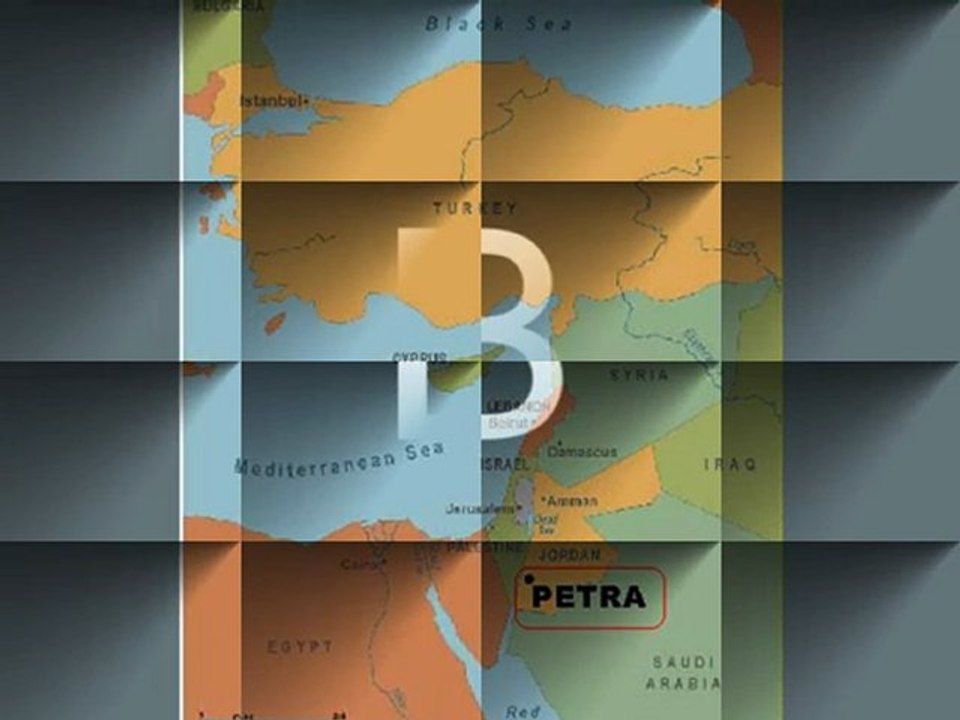Organic VS Synthetic