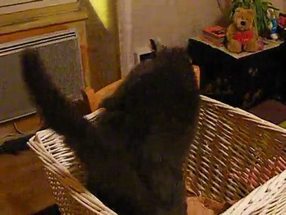 Ta Didine, la Fofolle