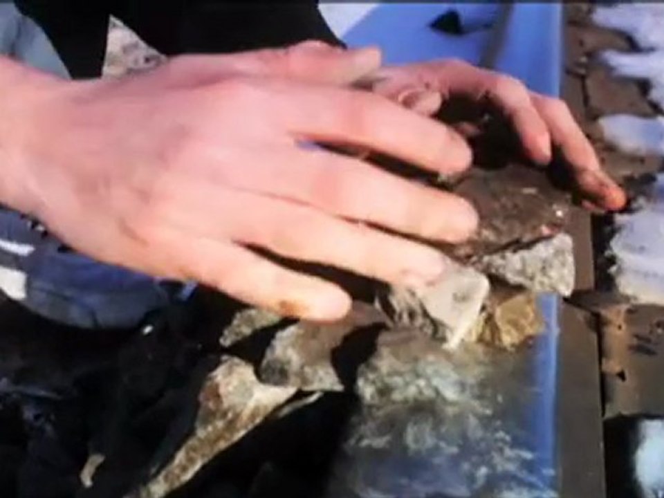 Amarna Reign - The Fight Isn't Over