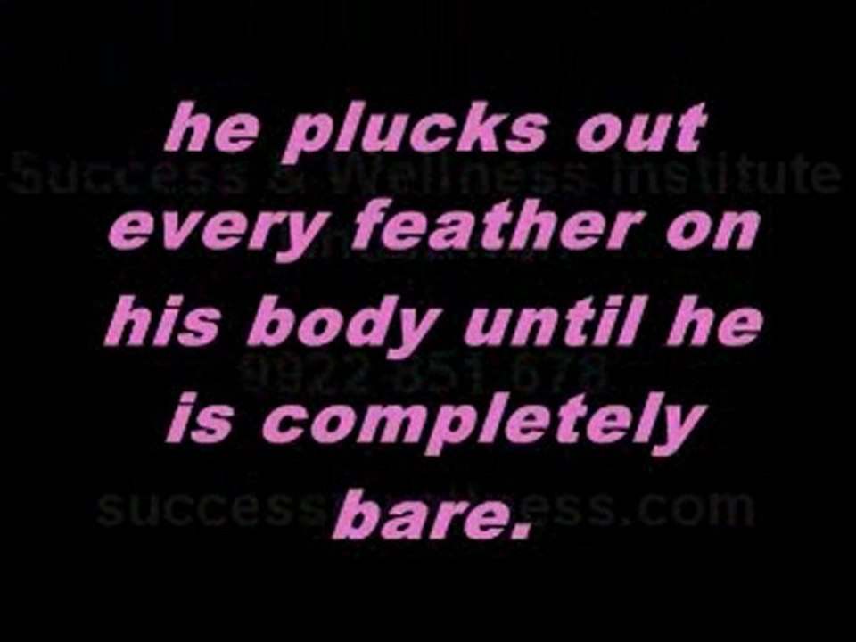 8 principles of success