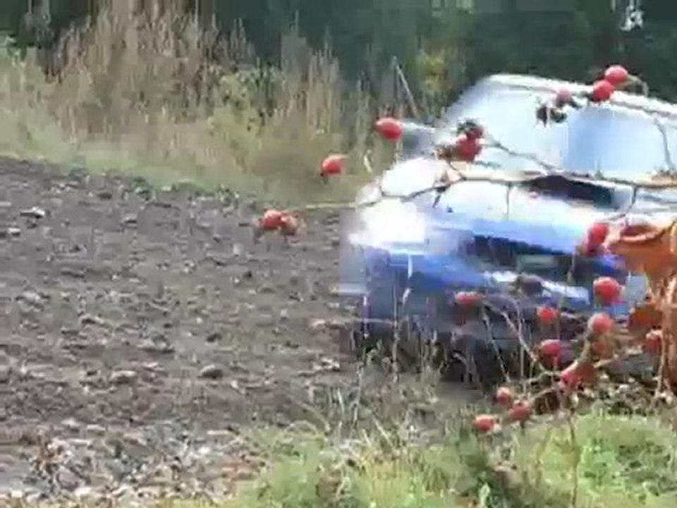 Rally Клип: Энергичная Зарядка 🚗