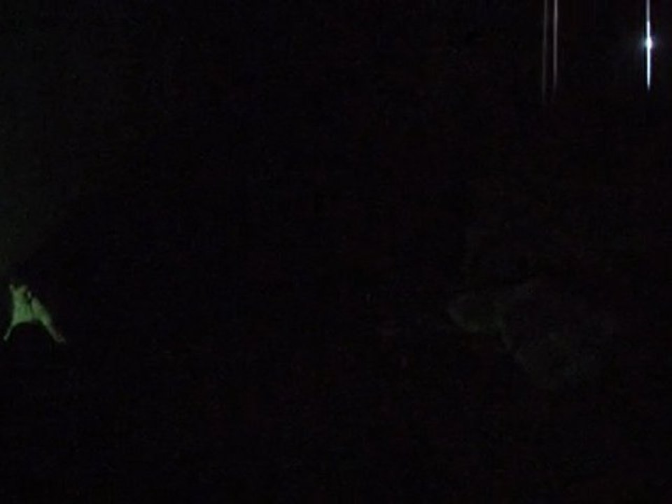 Directing Project: Stephen