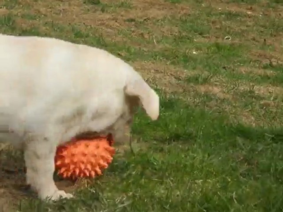 Римский Легион Милана - мой маленький ангел