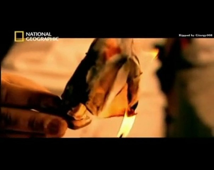 mafia?...quelle mafia? (1)