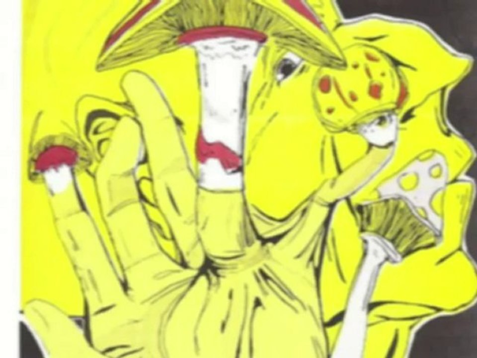 goatrance psytrance Lost Buddha - Ataraxia