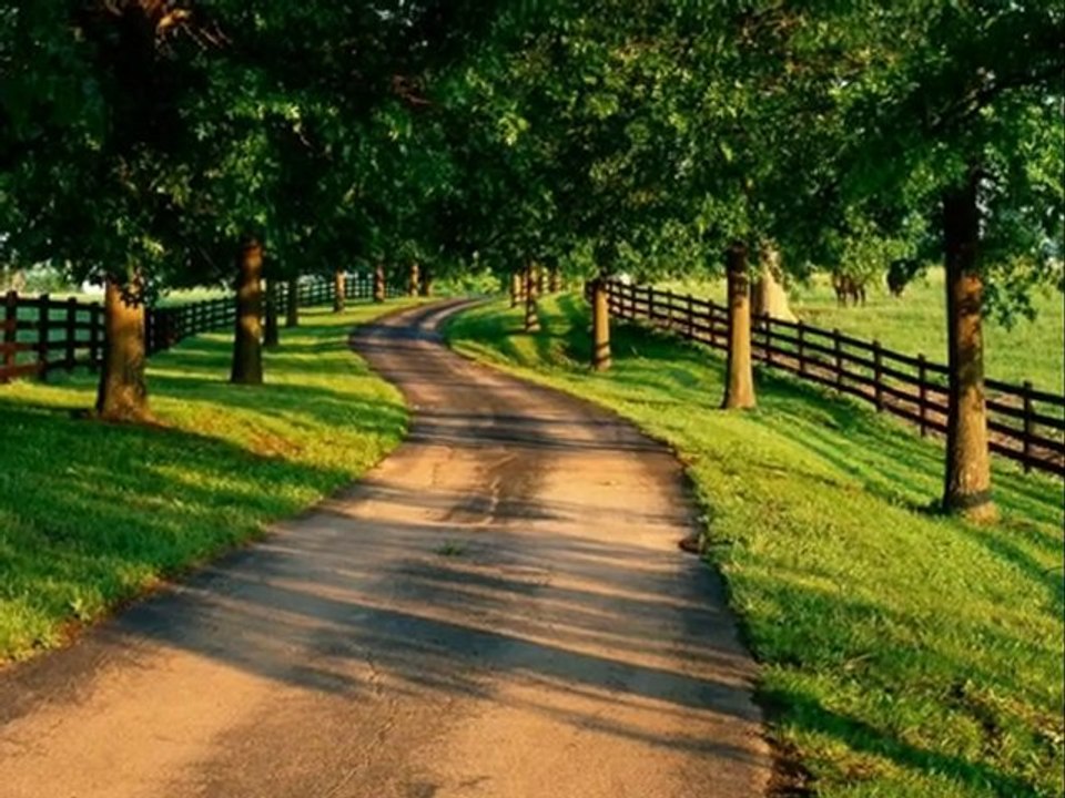 Ta Gwiazdka na Niebie ✨ – Film z Piosenką 'For You' o Miłości i Tęsknocie