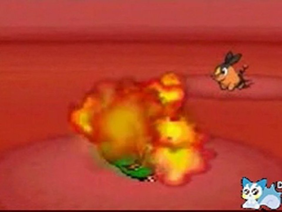 Starters - Pokémon version Noire & version Blanche