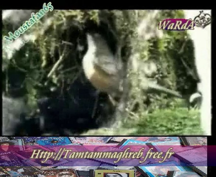 Warda : Tarnimét el karawane