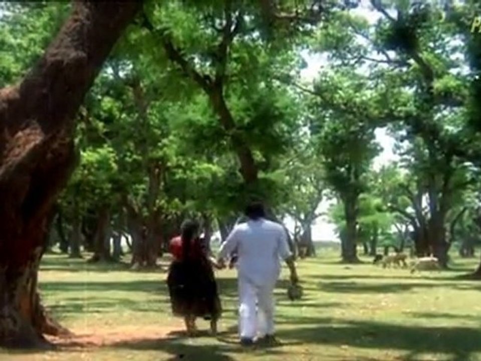 जब से जिया की चोरी हुई है: लता मंगेशकर का दर्दनाक गाना 🎶