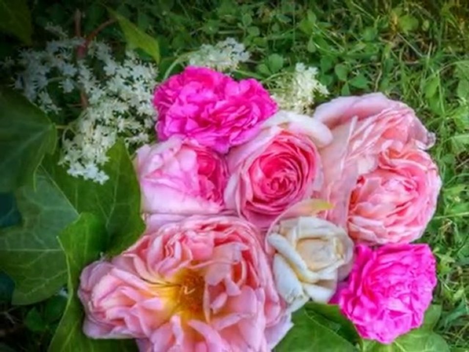 OMRİ-ABESS SEMİTEK