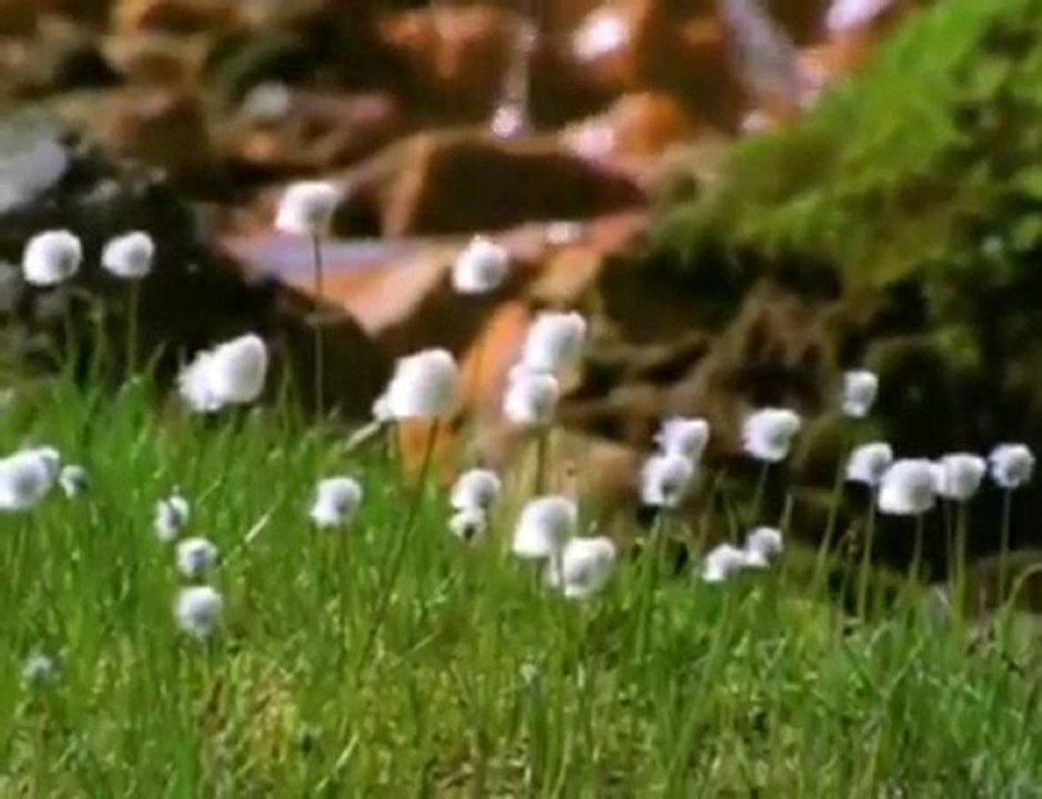 Совершенный Бог