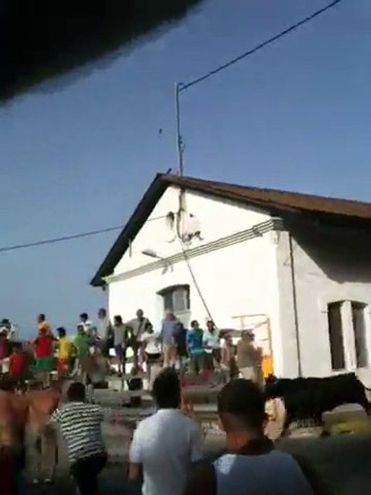 Denia, Spain, Bull Running