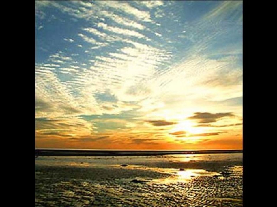 Tips for Aspiring Hoppers 🚀