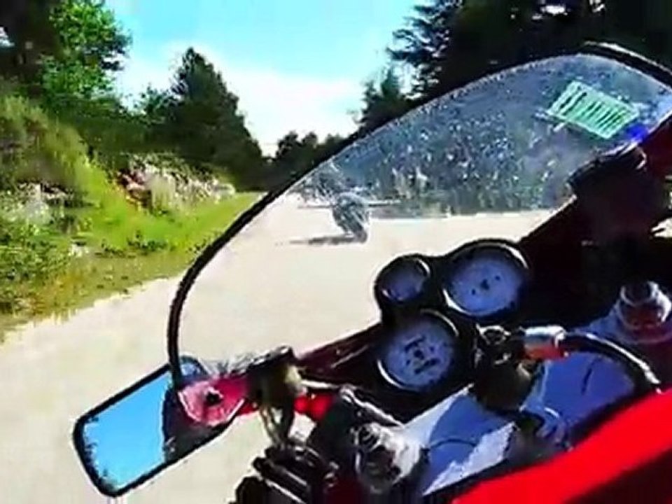 Les Lavandes DDGS 2010 : Découvrez cette Année de Récolte Exceptionnelle 🌿