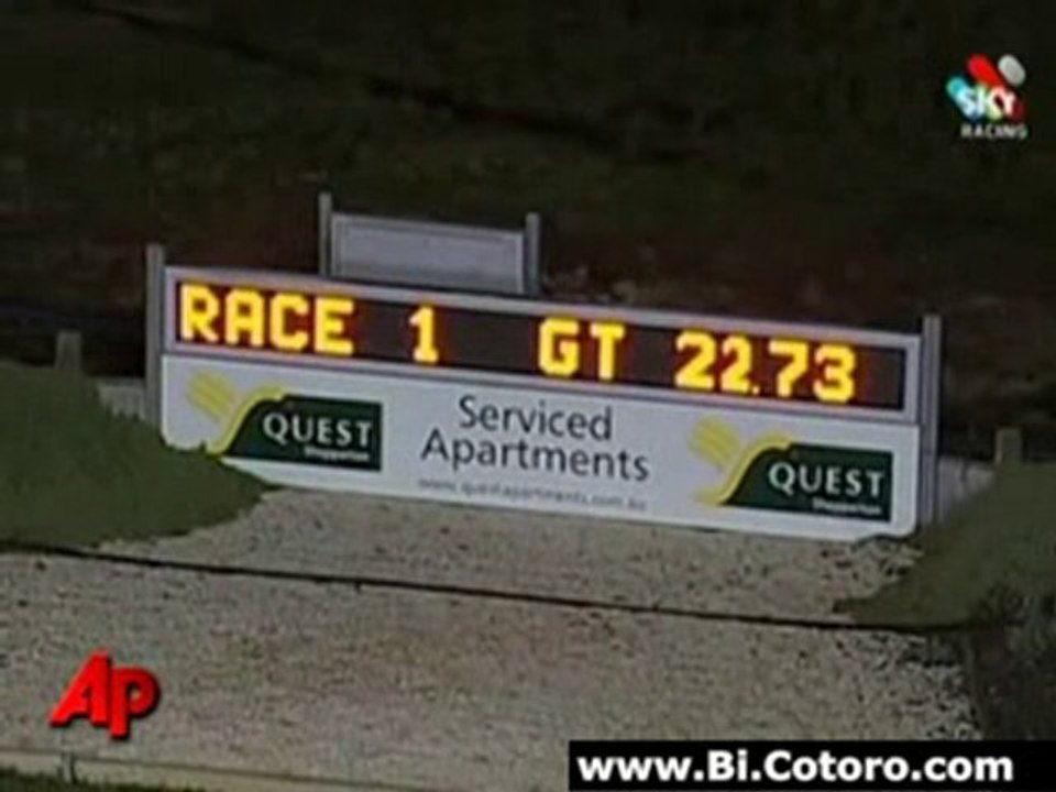 Greyhound Chases Rabbit Off Track