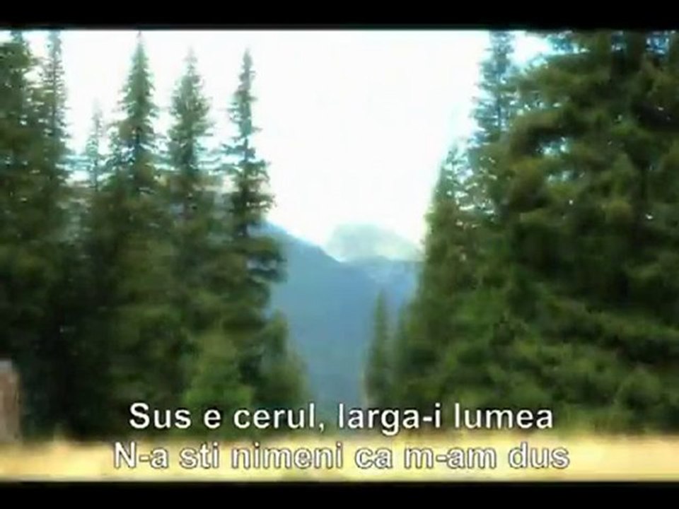 Doru Stanculescu - Hai, hai, haidi, hai